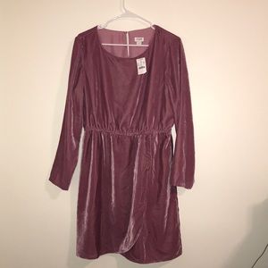 Jcrew- Pink Velvet Dress